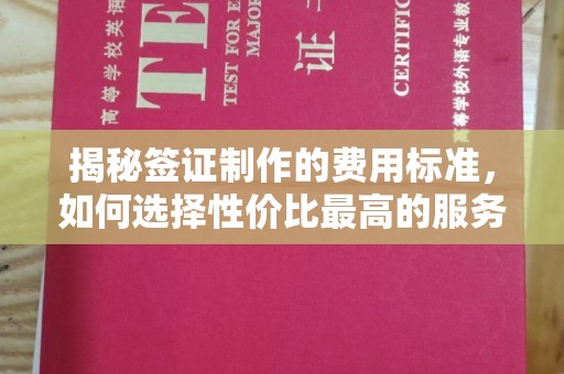 雷州揭秘签证制作的费用标准，如何选择性价比最高的服务？